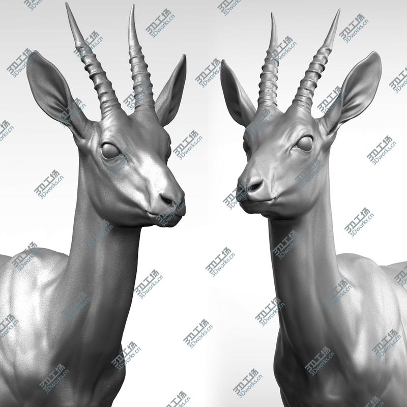 images/goods_img/202105071/3D Gazelle antelope  Gazella model/1.jpg